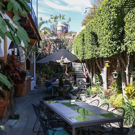 Las Mariposas Hotel & Studios Oaxaca Exteriér fotografie