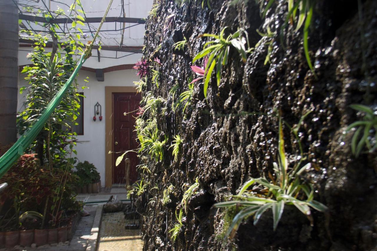 Las Mariposas Hotel & Studios Oaxaca Exteriér fotografie