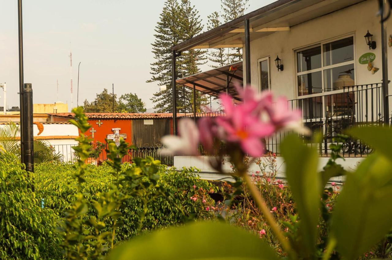 Las Mariposas Hotel & Studios Oaxaca Exteriér fotografie