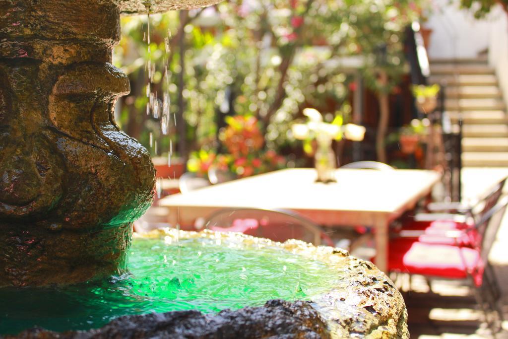 Las Mariposas Hotel & Studios Oaxaca Exteriér fotografie